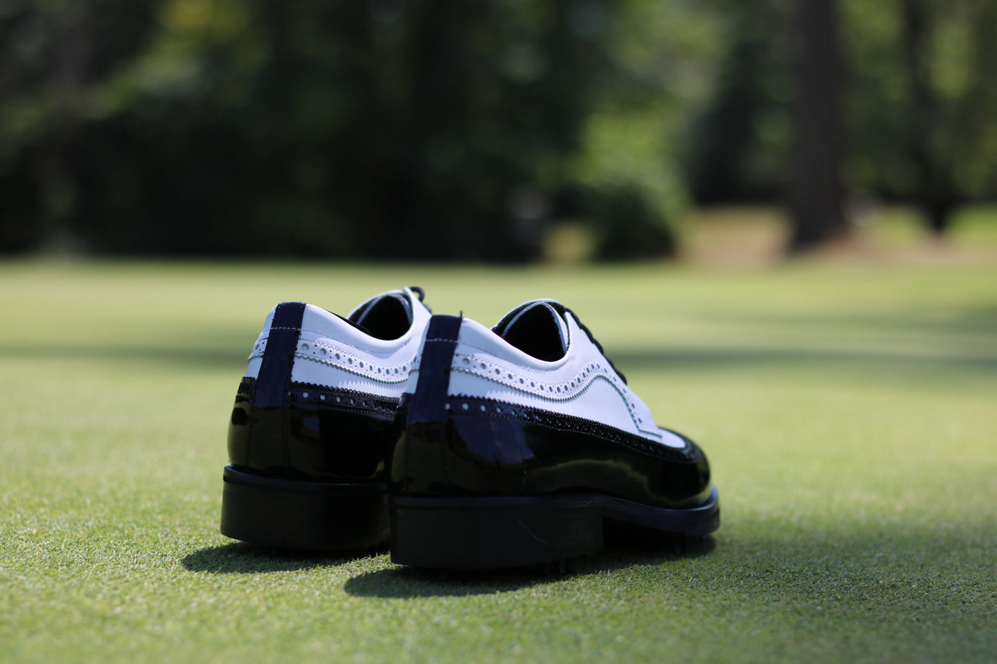 Tuxedo Golf Shoe