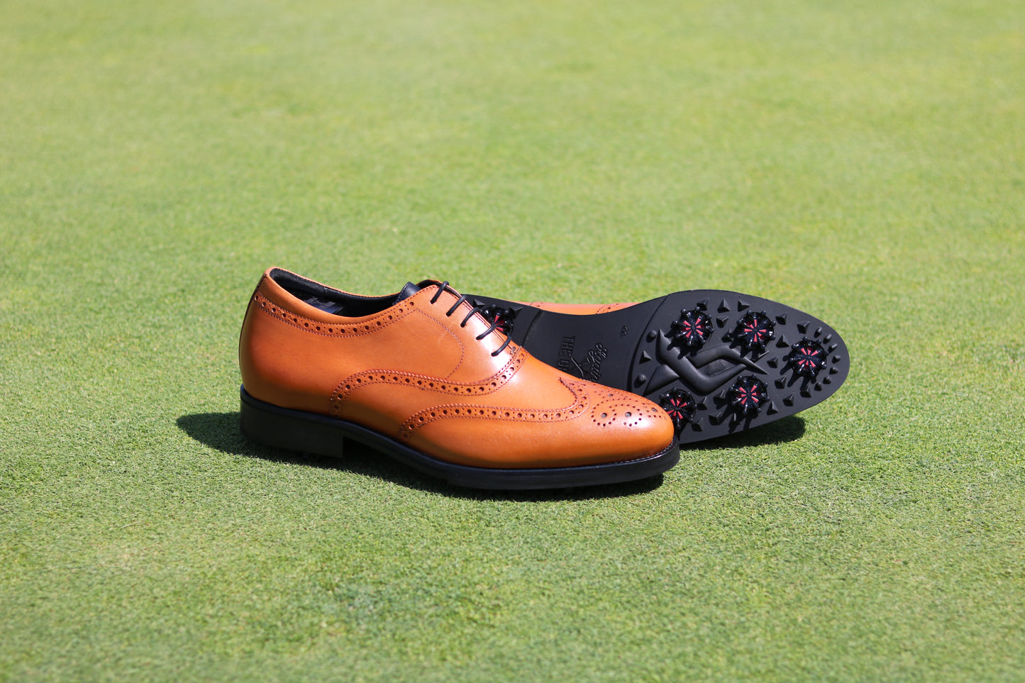 Italian Stallion Golf Shoe