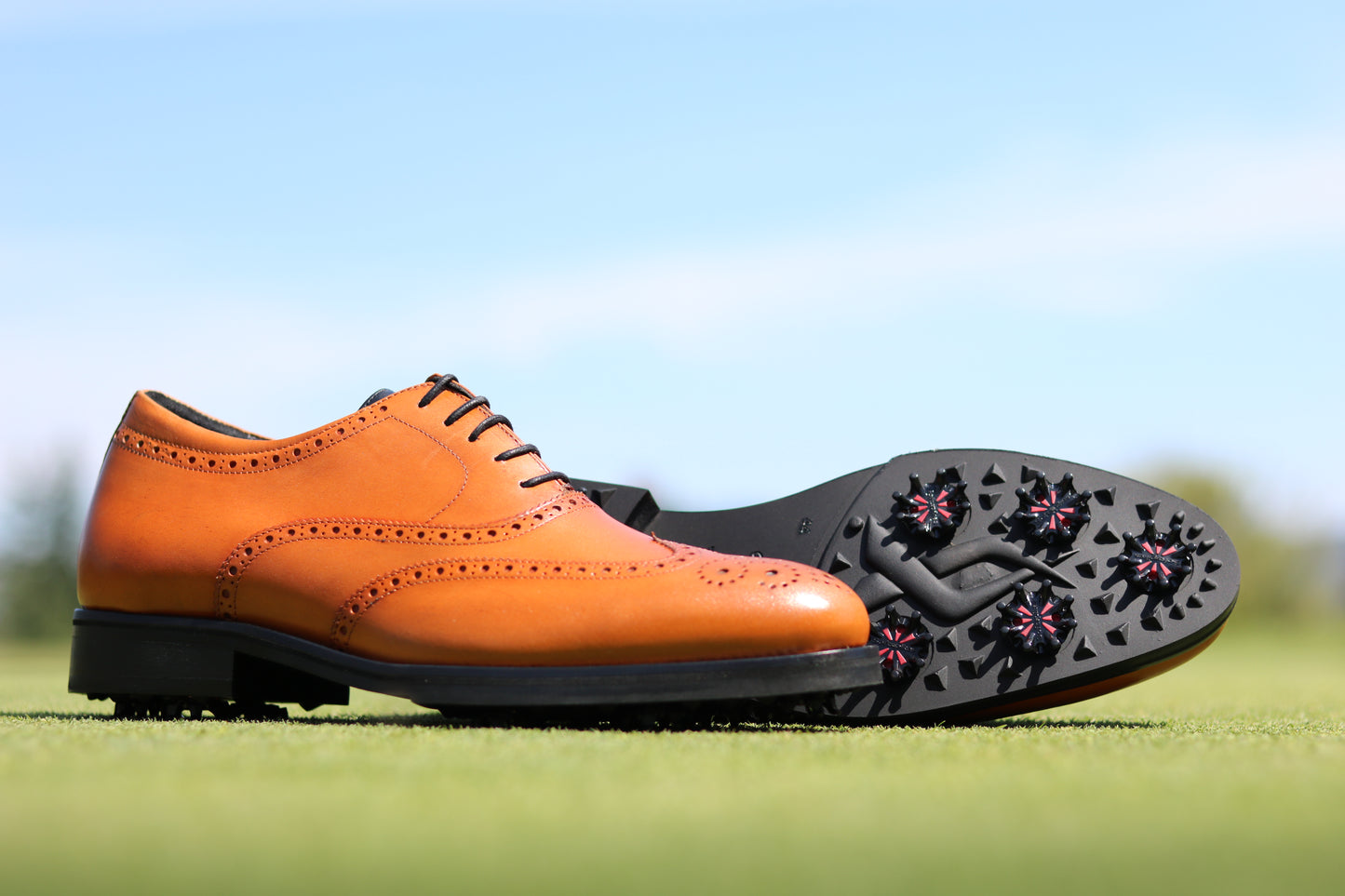 Italian Stallion Golf Shoe