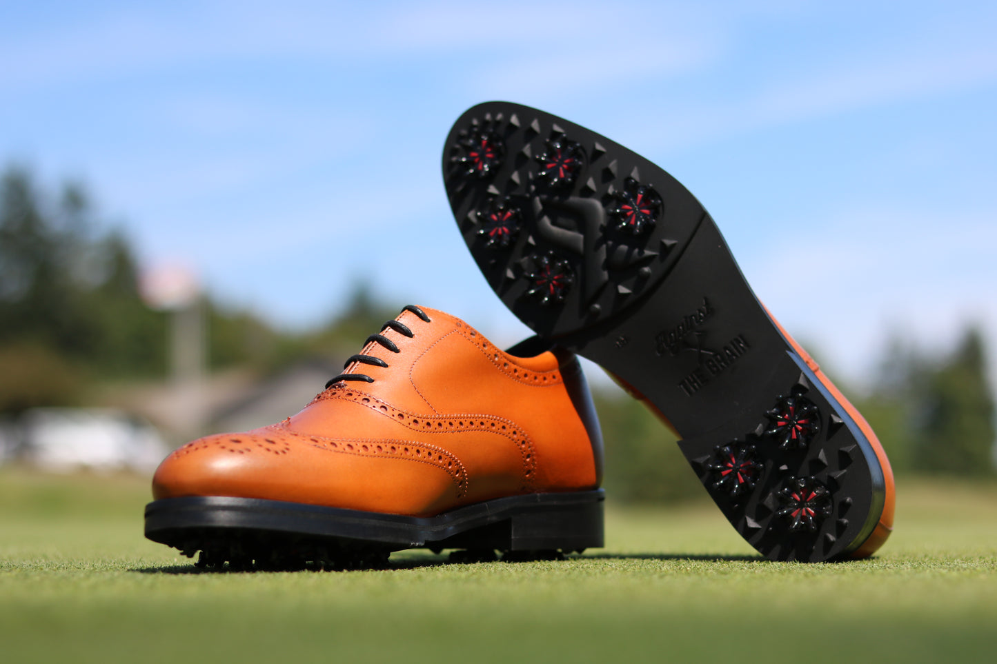 Italian Stallion Golf Shoe