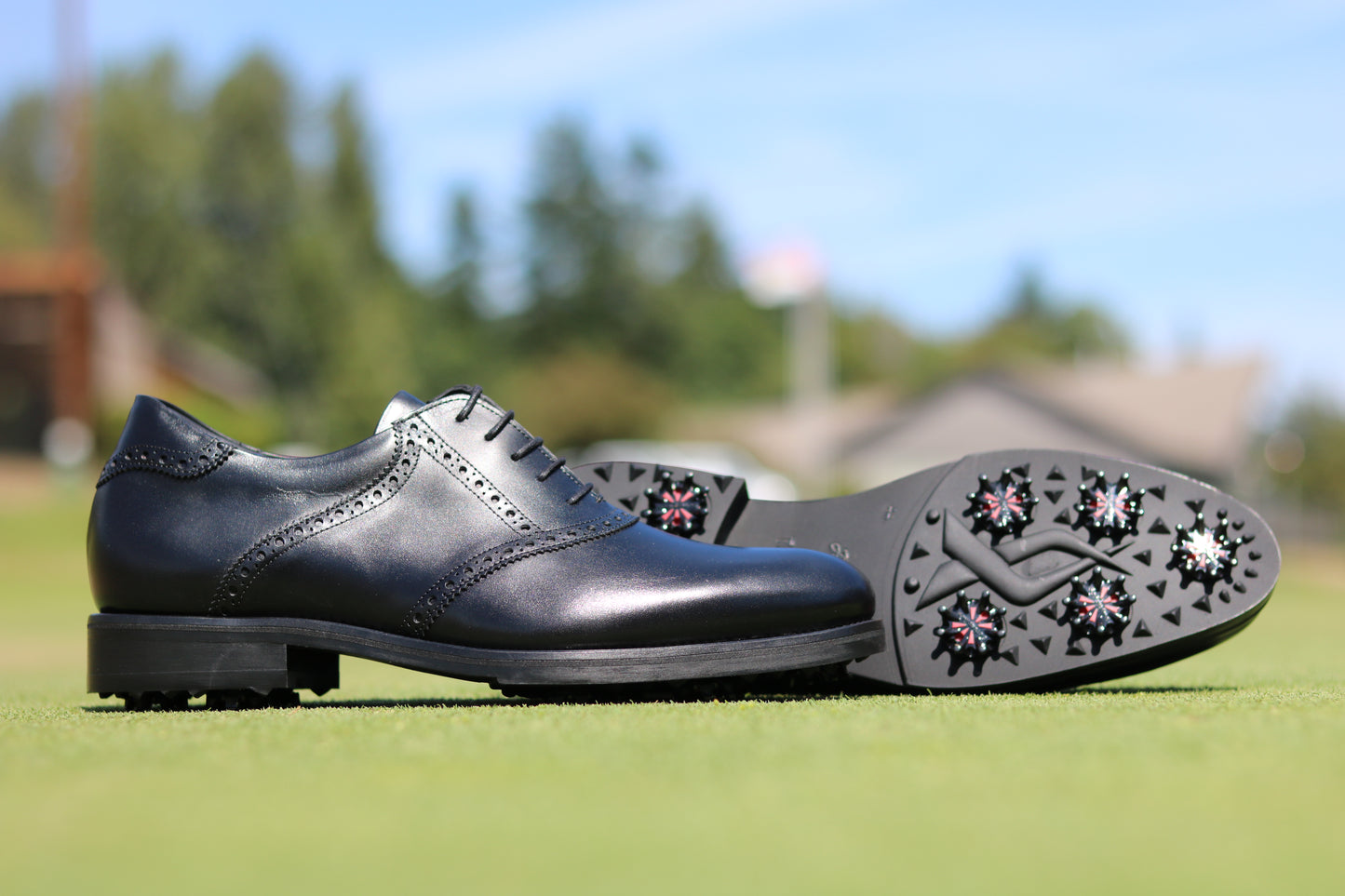 Saddle The Santorini