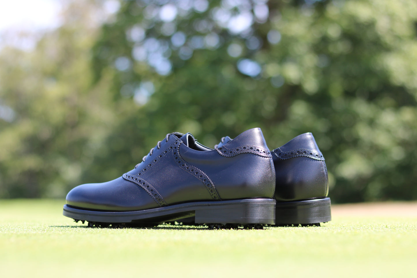 Saddle The Santorini